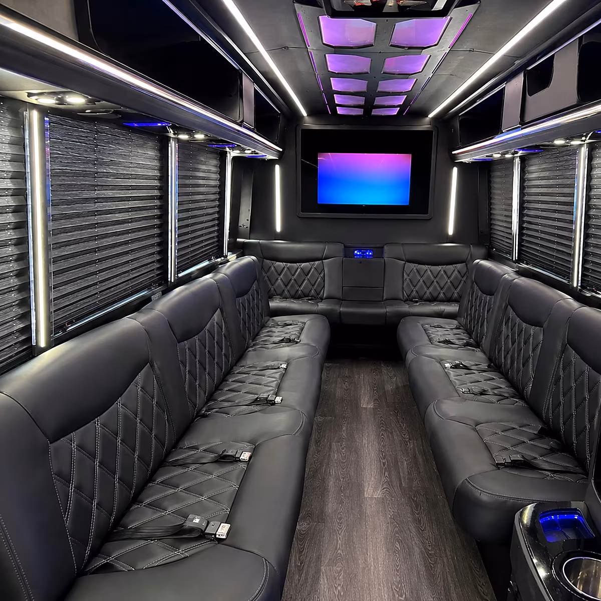 chandler party bus rentals inside
